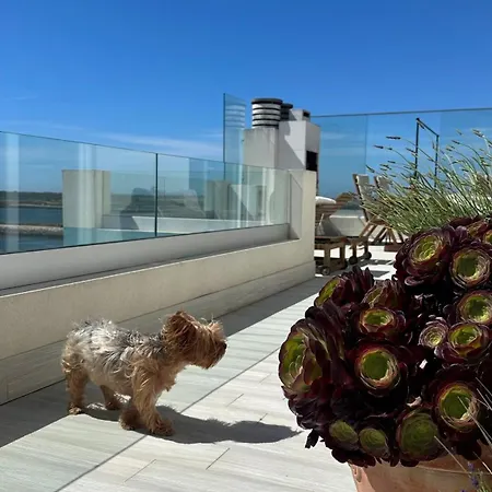 Апартаменты Da Barra Sweet