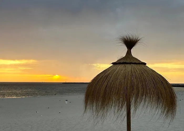 Da Barra Sweet Lejlighed Gafanha da Nazaré